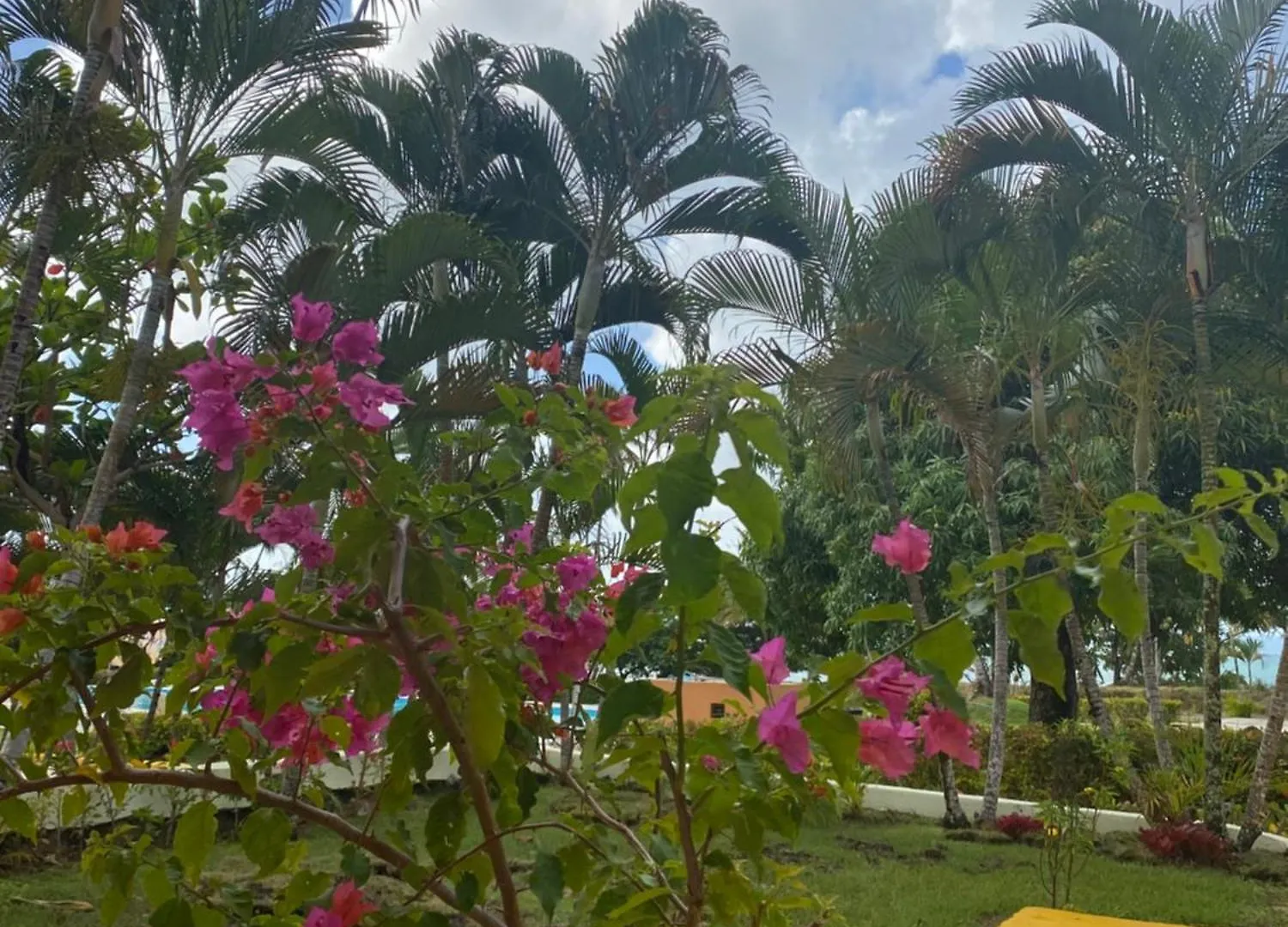 Holiday home Villa Freddy Junior Samana Dominican Republic